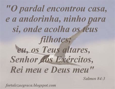 o pardal encontrou asas a andorinha o seu ninho letra|Salmos 84:3 .